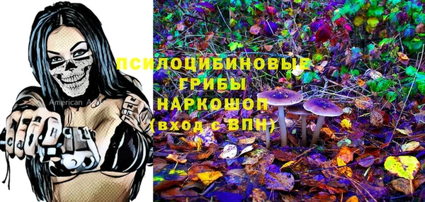 гидропоника Белокуриха
