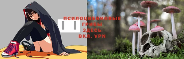 гидропоника Белокуриха