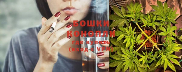 ПСИЛОЦИБИНОВЫЕ ГРИБЫ Покровск