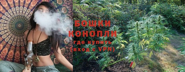 стафф Покачи