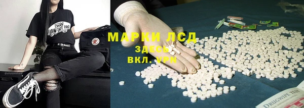 гидропоника Белокуриха